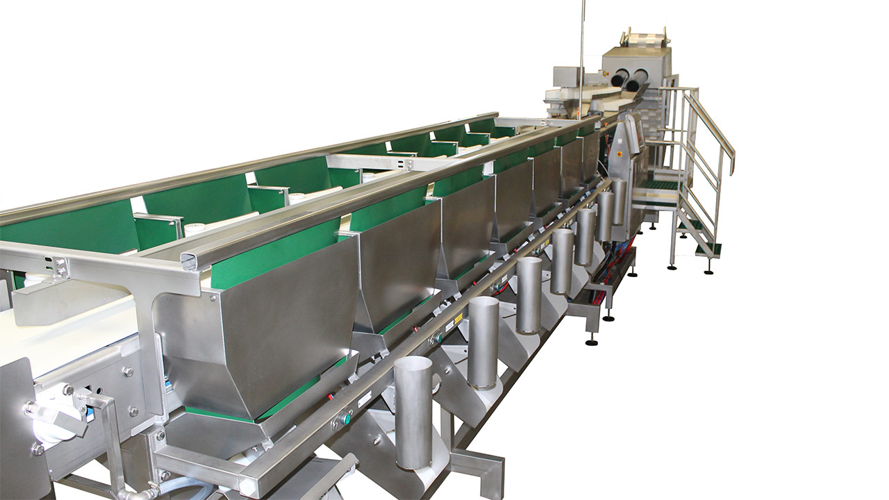 Bi-line oyster grader CALIBRA CD