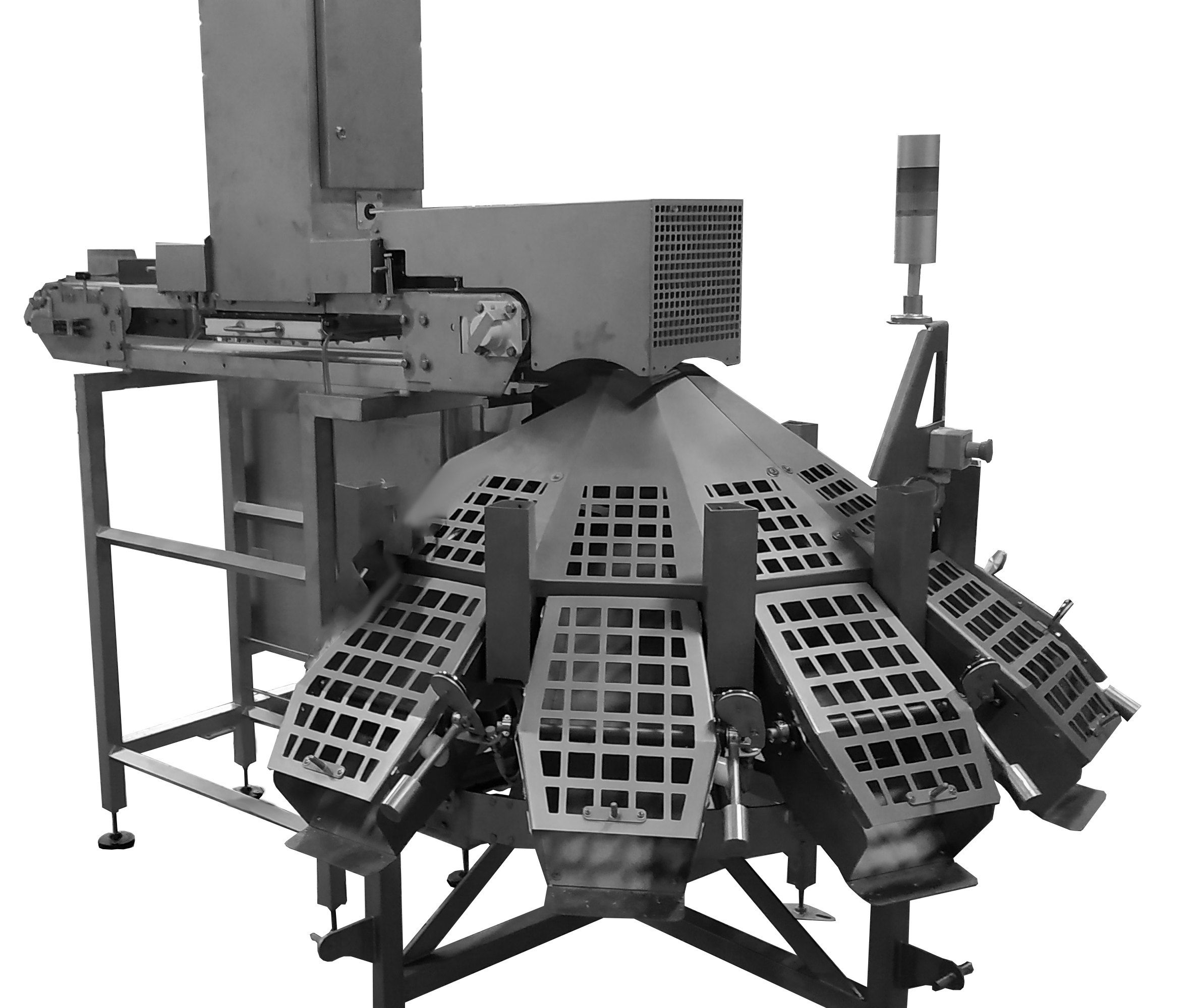 Compact video oyster grader CALIBRA CCV